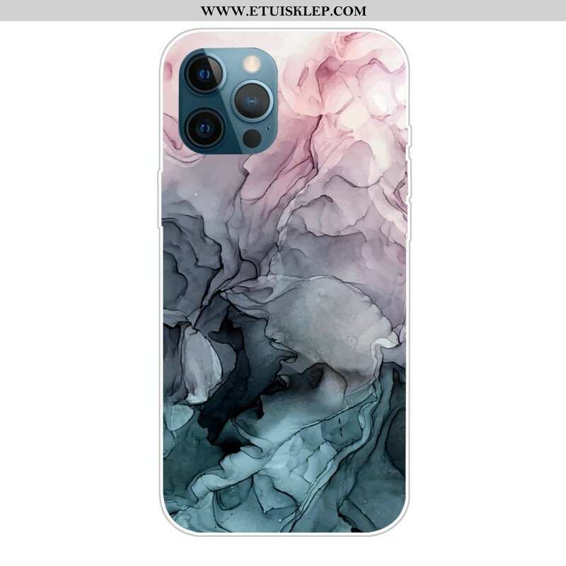 Etui do iPhone 13 Pro Kolory Marmuru